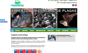 Control de plagas de ratones Chile